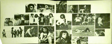 Carica l'immagine nel visualizzatore di Gallery, Perigeo : Genealogia (LP, Album, Gat)
