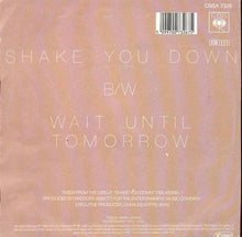 Carica l&#39;immagine nel visualizzatore di Gallery, Gregory Abbott : Shake You Down (7&quot;, Single)
