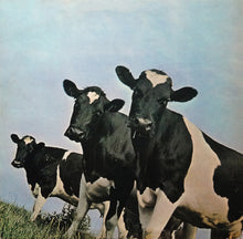 Carica l'immagine nel visualizzatore di Gallery, Pink Floyd : Atom Heart Mother (LP, Album, RE, 3rd)
