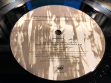 Carica l&#39;immagine nel visualizzatore di Gallery, The Psychedelic Furs : Book Of Days (LP, Album, RE)
