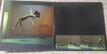 Carica l'immagine nel visualizzatore di Gallery, Placebo : Meds (LP, Album, RE, Gat)
