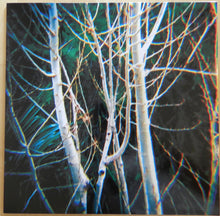 Carica l'immagine nel visualizzatore di Gallery, Campos : Umani, Vento E Piante (LP, Ltd, Sol)
