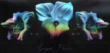 Carica l&#39;immagine nel visualizzatore di Gallery, Mike Patton, Jean-Claude Vannier : Corpse Flower (LP, Album, Smo)
