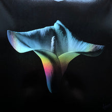 Carica l&#39;immagine nel visualizzatore di Gallery, Mike Patton, Jean-Claude Vannier : Corpse Flower (LP, Album, Smo)
