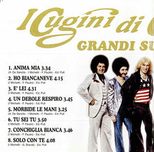 Carica l'immagine nel visualizzatore di Gallery, I Cugini Di Campagna : Grandi Successi (CD, Comp)
