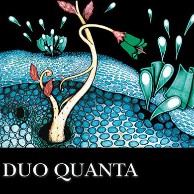 Duo Quanta : Duo Quanta (CD, Multichannel, Dol)