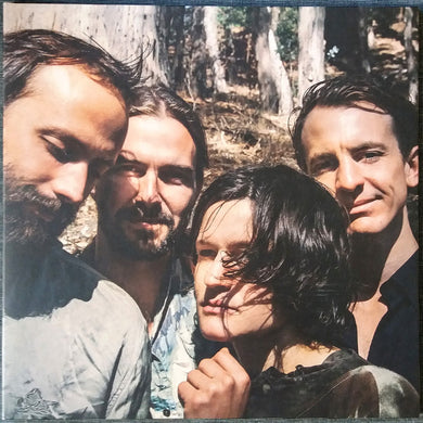 Big Thief : Two Hands (LP, Album)