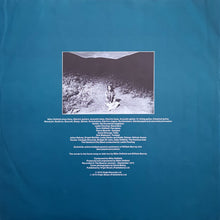 Carica l&#39;immagine nel visualizzatore di Gallery, Mike Oldfield : Ommadawn (LP, Album, RE)
