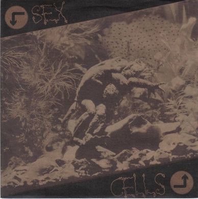 The Table : Sex Cells (7