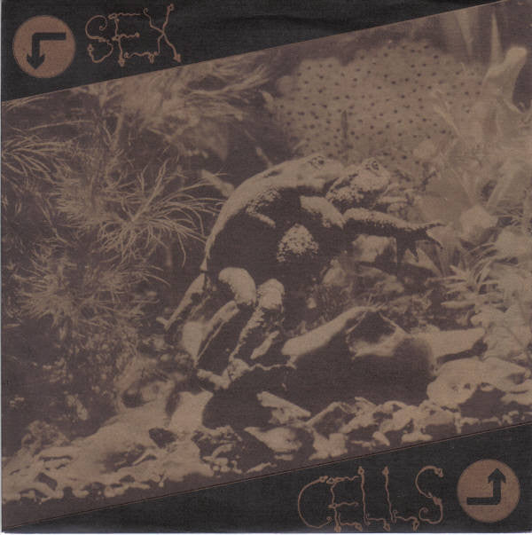 The Table : Sex Cells (7