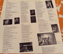 Carica l'immagine nel visualizzatore di Gallery, Slide (3) : Down So Long (LP, Album)
