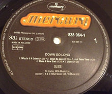Carica l'immagine nel visualizzatore di Gallery, Slide (3) : Down So Long (LP, Album)
