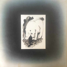 Carica l'immagine nel visualizzatore di Gallery, Cat Stevens : Foreigner (LP, Album)

