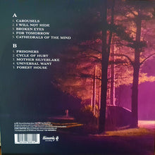 Carica l&#39;immagine nel visualizzatore di Gallery, Doves : The Universal Want (LP, Album)
