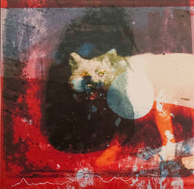Carica l'immagine nel visualizzatore di Gallery, Mogwai : As The Love Continues (Box + 2xLP, Album, Red + 12", Dem + CD)
