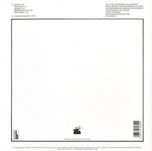 Carica l&#39;immagine nel visualizzatore di Gallery, Cluster : Grosses Wasser (LP, Album, RE, RM)
