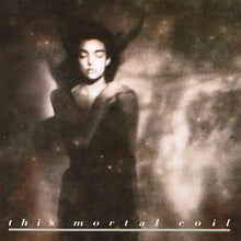 Carica l'immagine nel visualizzatore di Gallery, This Mortal Coil : It'll End In Tears (CD, Album, RE)
