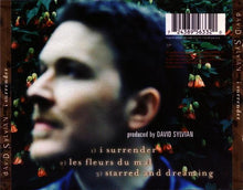 Carica l'immagine nel visualizzatore di Gallery, David Sylvian : I Surrender (CD, Single, CD1)
