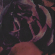 Carica l'immagine nel visualizzatore di Gallery, David Sylvian : I Surrender (CD, Single, CD1)
