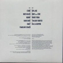 Carica l'immagine nel visualizzatore di Gallery, Julian Lage : Squint (LP, Album)
