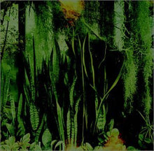 Carica l'immagine nel visualizzatore di Gallery, The Promise Ring : Wood/Water (CD, Album)
