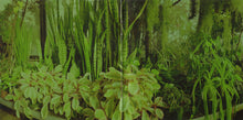 Carica l'immagine nel visualizzatore di Gallery, The Promise Ring : Wood/Water (CD, Album)
