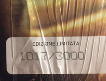 Carica l&#39;immagine nel visualizzatore di Gallery, Litfiba : Pirata (LP, Ltd, Num, 180)
