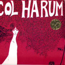 Carica l&#39;immagine nel visualizzatore di Gallery, Procol Harum : Procol Harum (LP, Album, Mono)
