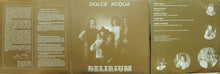 Carica l'immagine nel visualizzatore di Gallery, Delirium (5) : Dolce Acqua (LP, Album, Tri)
