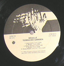 Carica l'immagine nel visualizzatore di Gallery, Terraced Garden : Braille (LP, Album)
