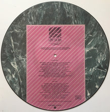 Carica l'immagine nel visualizzatore di Gallery, Various : The History Of The World Part 1 (LP, Comp, Pic)
