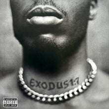 Carica l&#39;immagine nel visualizzatore di Gallery, DMX : Exodus (LP, Album)

