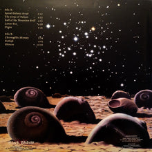 Carica l&#39;immagine nel visualizzatore di Gallery, Simon House : Spiral Galaxy Revisited (LP, Ltd)
