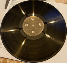 Carica l&#39;immagine nel visualizzatore di Gallery, Stromae : Multitude (LP, Album, Gat)
