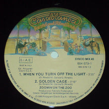 Carica l&#39;immagine nel visualizzatore di Gallery, Zooming On The Zoo : Golden Cage (12&quot;)
