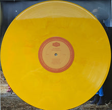 Carica l&#39;immagine nel visualizzatore di Gallery, St. Vincent : The Nowhere Inn (Official Soundtrack) (LP, Album, RSD, Ltd, Ora)
