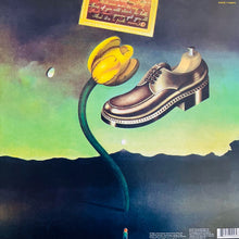 Carica l&#39;immagine nel visualizzatore di Gallery, Nick Drake : Pink Moon (LP, Album, RP, 180)
