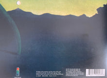 Carica l&#39;immagine nel visualizzatore di Gallery, Nick Drake : Pink Moon (LP, Album, RP, 180)
