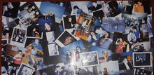 Carica l'immagine nel visualizzatore di Gallery, The Cranberries : Stars: The Best Of 1992-2002 (2xLP, Comp, RE, 180)
