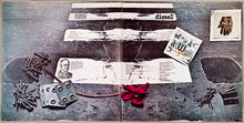 Carica l&#39;immagine nel visualizzatore di Gallery, Eugenio Finardi : Diesel (LP, Album, Gat)
