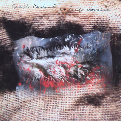 Gerardo Cardinale : Un Lungo Cammino (LP, Album)
