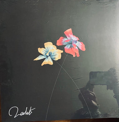 Diodato : Così Speciale  (LP, Album, Gat)