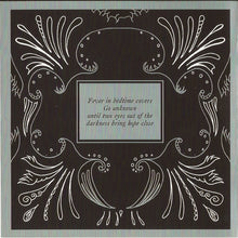 Carica l'immagine nel visualizzatore di Gallery, The Joy Formidable : The Big Roar (CD, Album)
