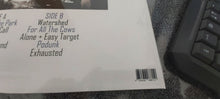 Carica l'immagine nel visualizzatore di Gallery, Foo Fighters : Down In The Park -The Nyc Broadcast (LP, Ltd, Unofficial)
