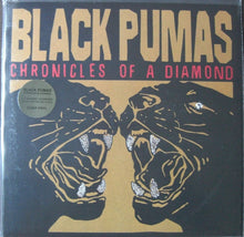 Carica l&#39;immagine nel visualizzatore di Gallery, Black Pumas : Chronicles Of A Diamond (LP, Album, Cle)
