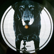 Carica l'immagine nel visualizzatore di Gallery, Seasick Steve : You Can't Teach An Old Dog New Tricks (LP, Album)
