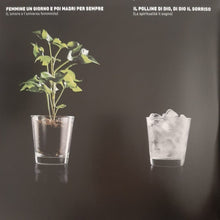 Carica l'immagine nel visualizzatore di Gallery, Fabrizio De André : Tu Che M'Ascolti Insegnami (LP, Comp, 180 + LP, Comp, 180 + LP, Comp, 180 + LP)
