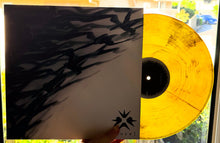 Carica l&#39;immagine nel visualizzatore di Gallery, Erra (2) : Cure (LP, Album, Bla)
