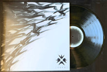 Carica l&#39;immagine nel visualizzatore di Gallery, Erra (2) : Cure (LP, Album, Bla)
