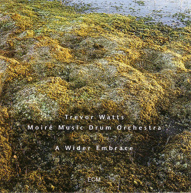 Trevor Watts Moiré Music Drum Orchestra : A Wider Embrace (CD, Album)